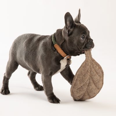 mimmo-dog-toy-6