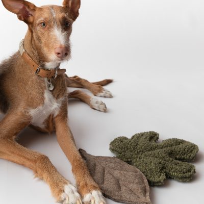 mimmo-dog-toy-8