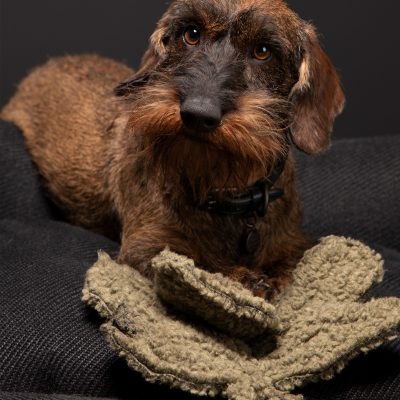 mimmo-dog-toy-9