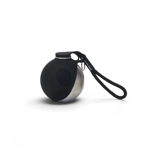 Stainless Steel Dog Water Bottle with Bowl