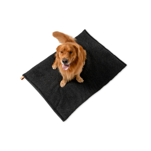 Richard - Dog Cushion