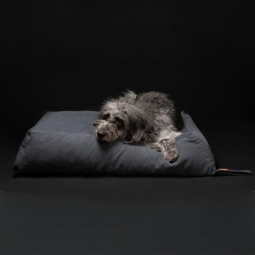 yousuf-organic-cotton-dog-cushion-gessato-12