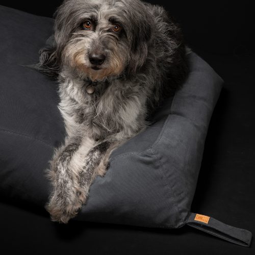 yousuf-organic-cotton-dog-cushion-gessato-4