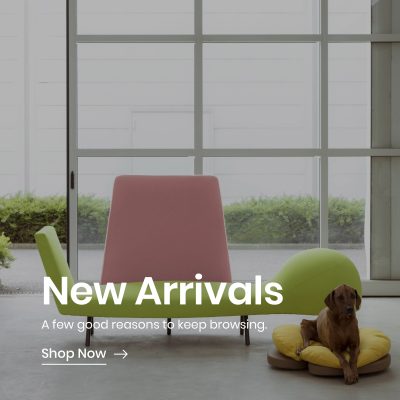 New Arrivals Banner