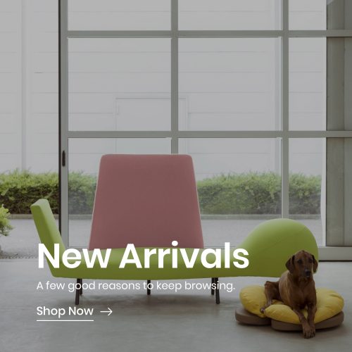 New Arrivals Banner