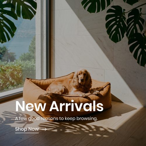 New Arrivals Banner