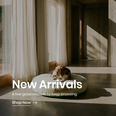 New Arrivals Banner