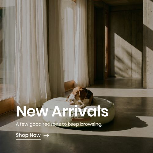 New Arrivals Banner