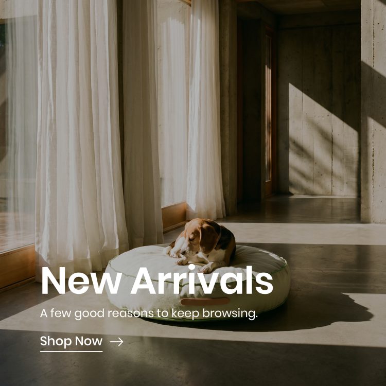 New Arrivals Banner