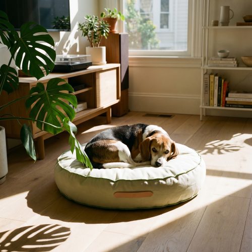 fulvio-round-duck-cotton-dog-cushion-gessato-9