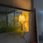 santa-and-cole-basica-minima-table-lamp-gessato-4