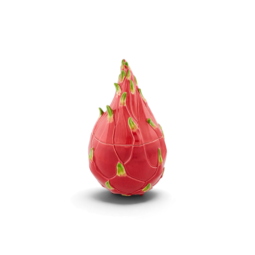 Tropical Fruits Pitaya Box