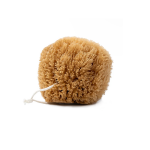 natural-grass-sea-sponge-1