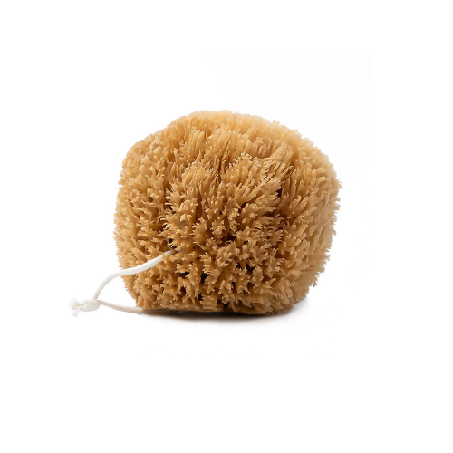 Natural Grass Sea Sponge
