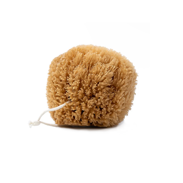 natural-grass-sea-sponge-1
