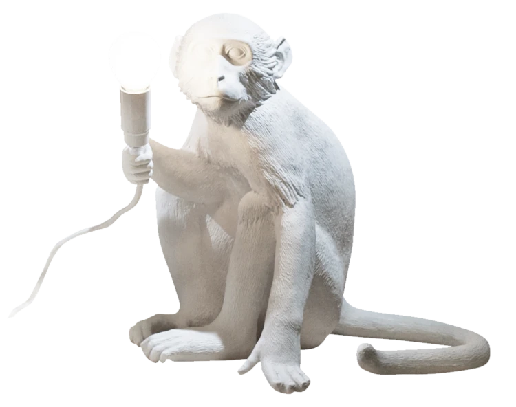 Seletti Monkey Lamp, Sitting