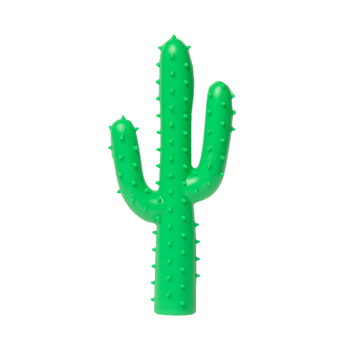 Silly Succulent, Cactus Dog Toy-0