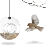 Bird Feeder -0