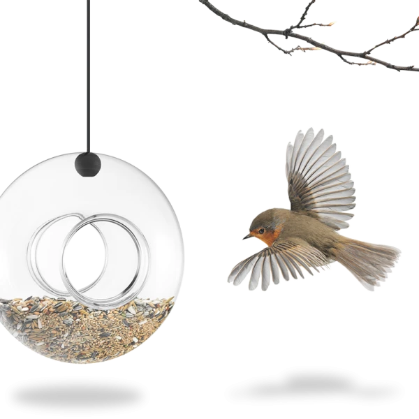 Bird Feeder -0
