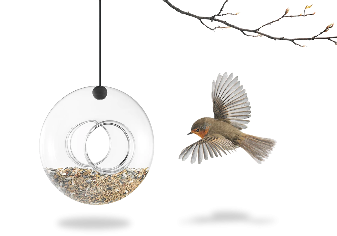 Bird Feeder -0