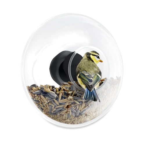 Window bird feeder-0