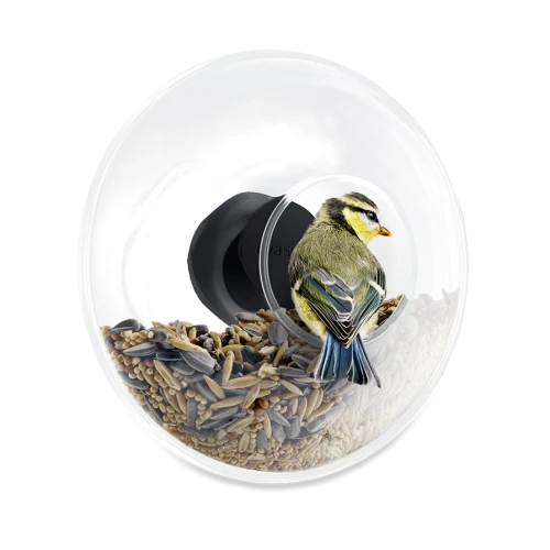 Window bird feeder-0