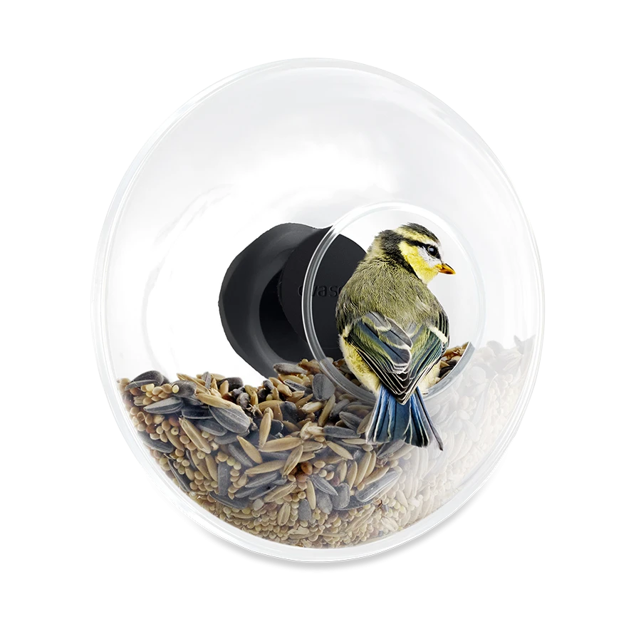 Window bird feeder-0