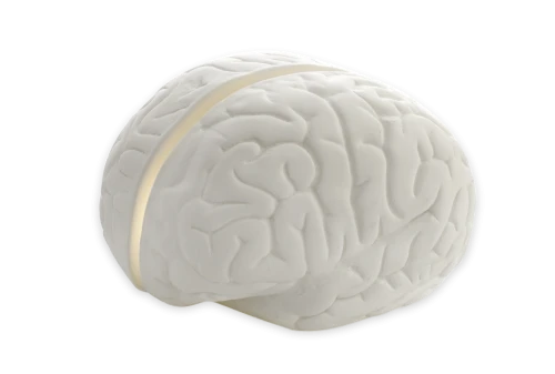 Brainstorm Table Lamp-0