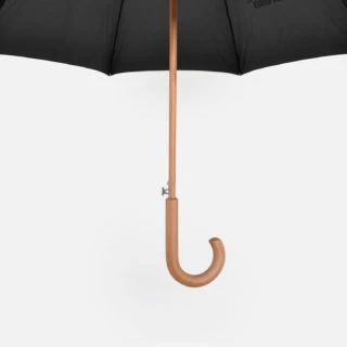 Umbrella-31913