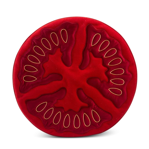 tomato-pillow-studio-job-seletti-1
