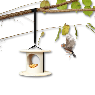 bird-breakfast-bird-feeder-0