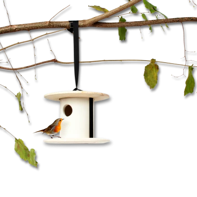 bird-breakfast-birdhouse-0