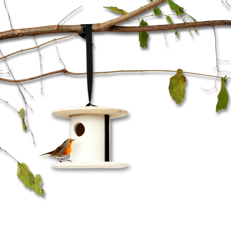 bird-breakfast-birdhouse-0