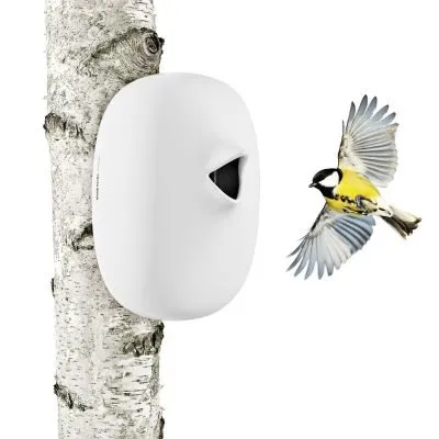 nesting-box-4