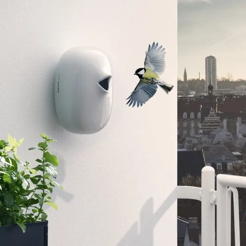 nesting-box-6