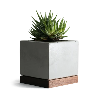 planter-concrete-and-walnut-1