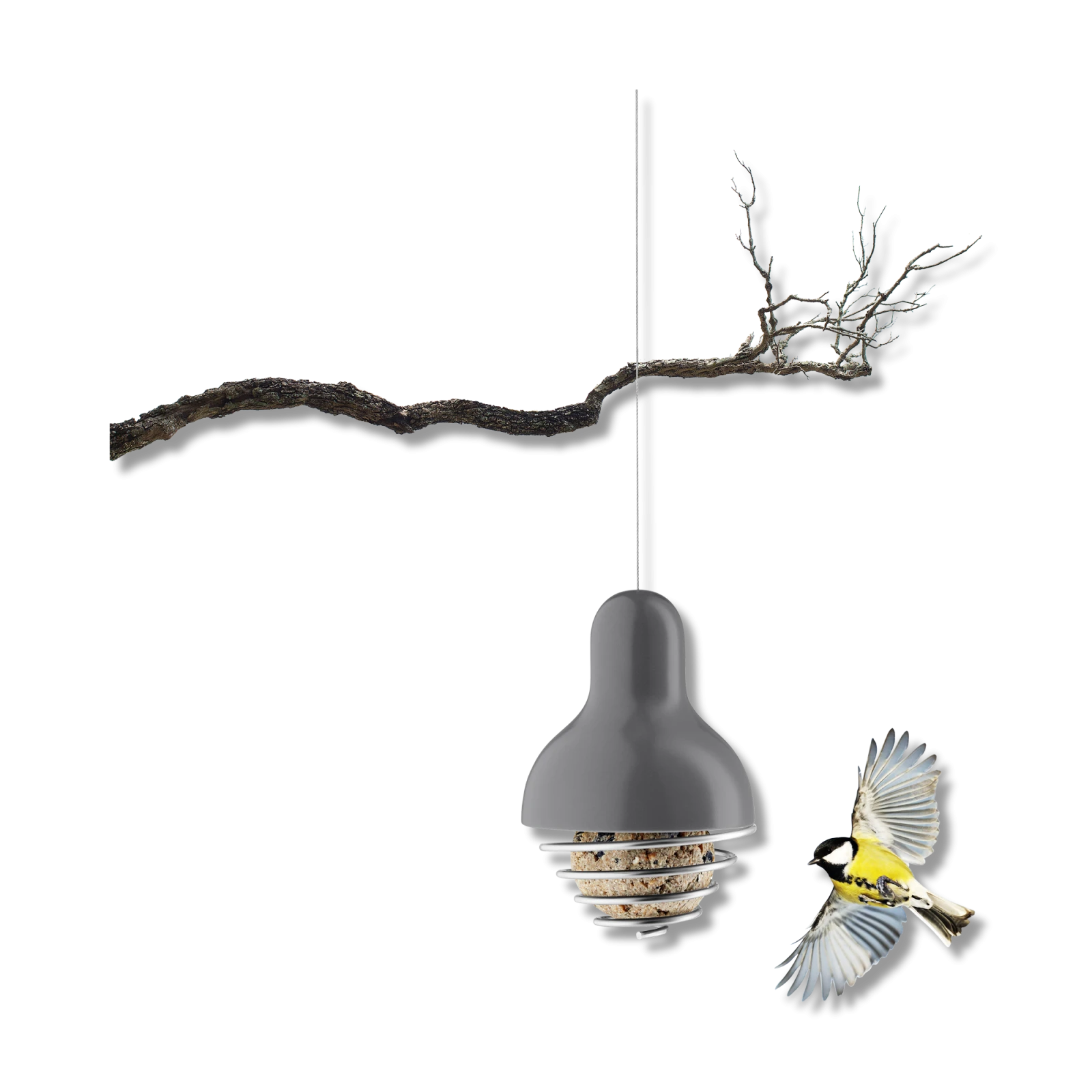 suet-bird-feeder-1
