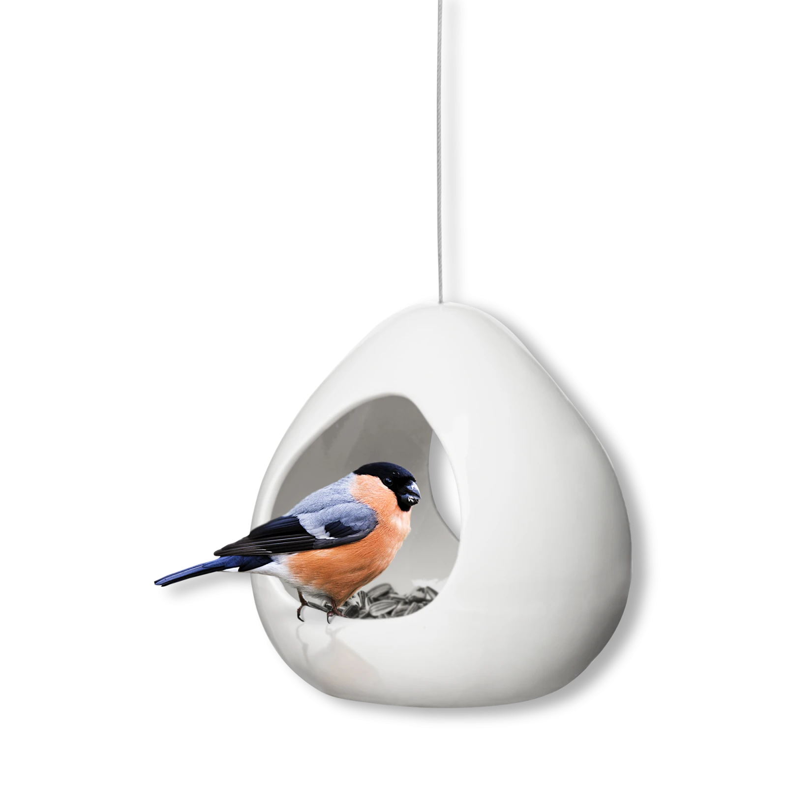 birdy-bird feeder-1