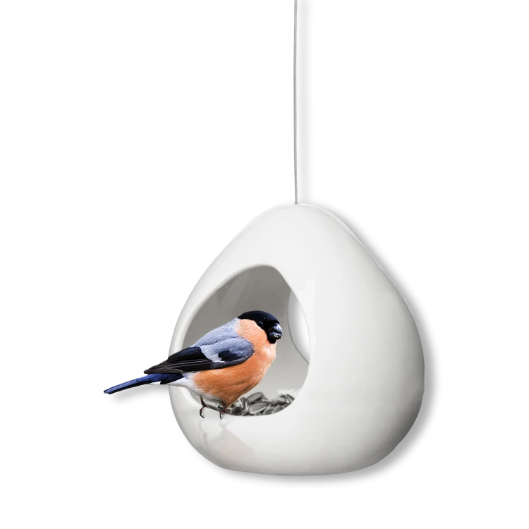 birdy-bird feeder-1