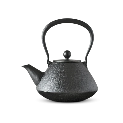 ogasawara-cast-iron-teapot-1