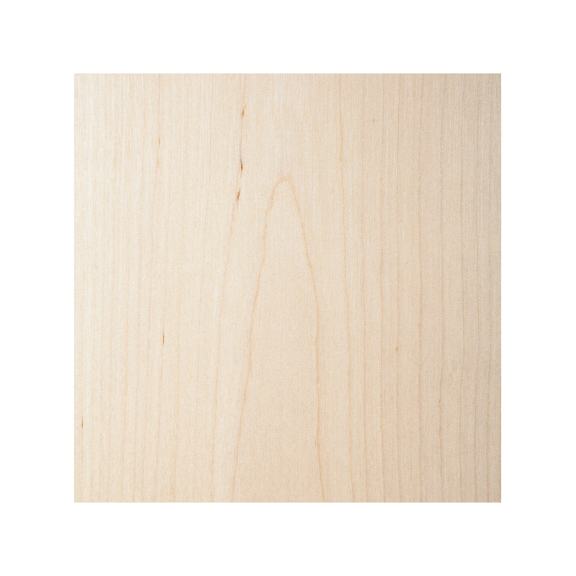  Birch, Diam 39.7" or 100 cm