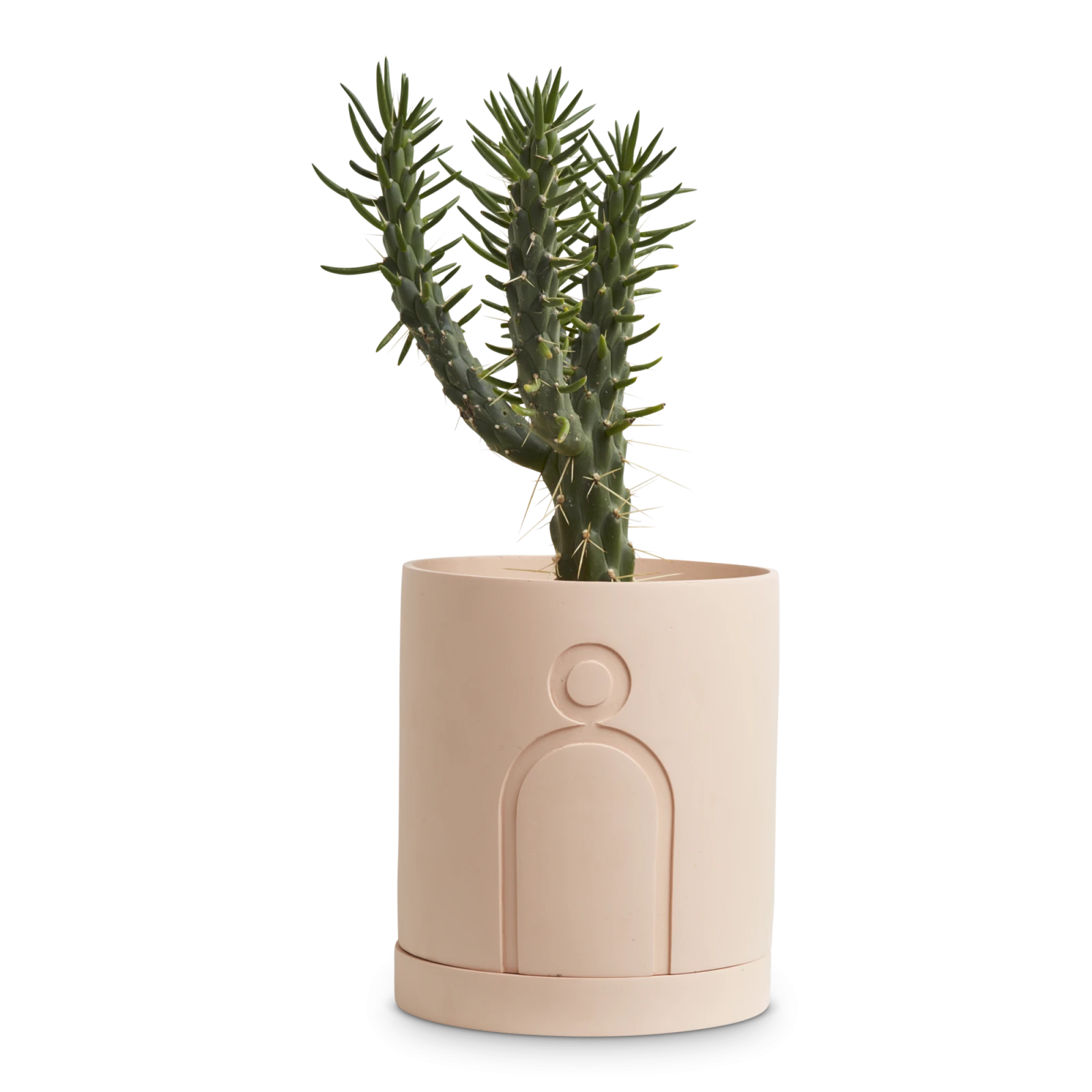 large-etch-planter-1