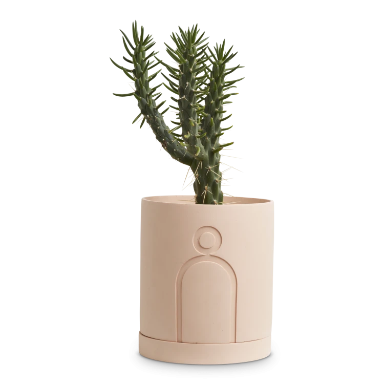 large-etch-planter-1