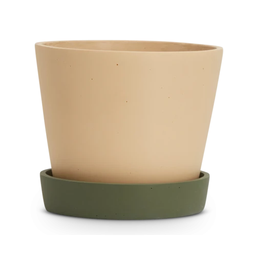 Large Louise Planter, Salt and Agave