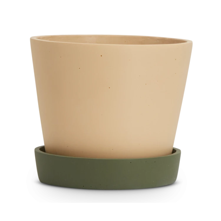large-louise-planter-salt-and-agave-1