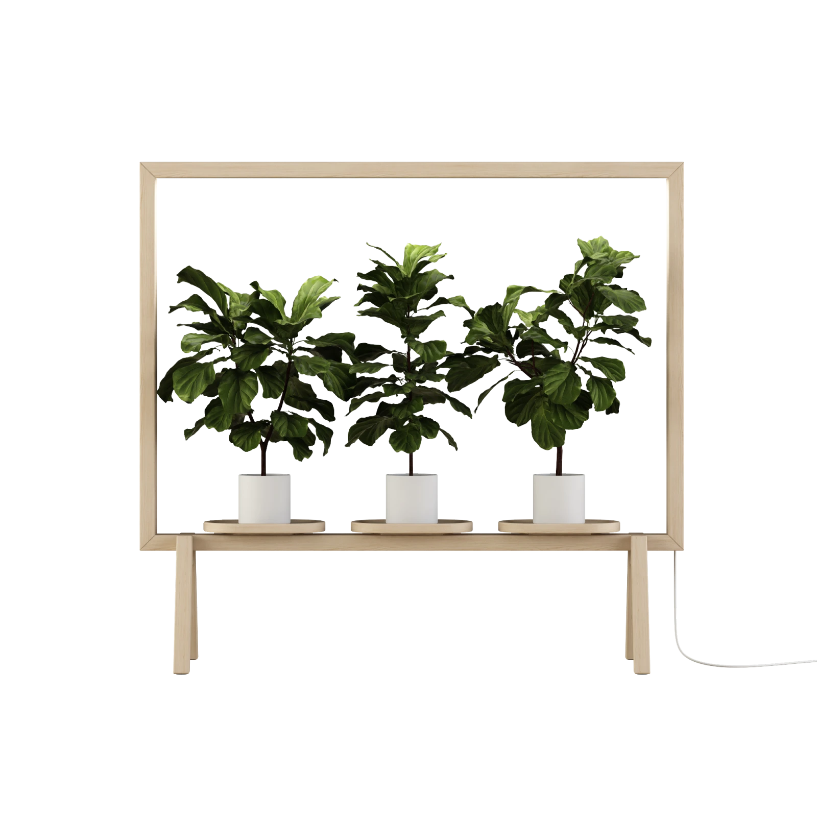 greenframe-1