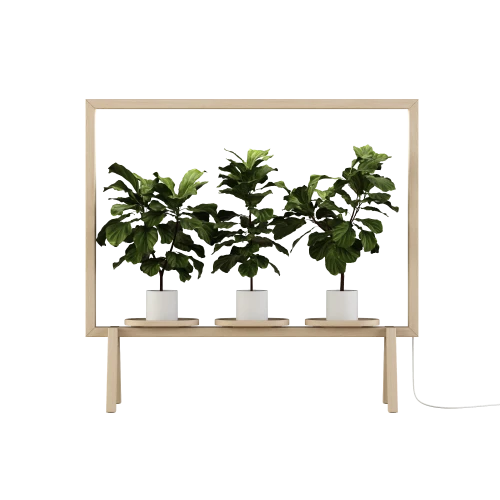 GreenFrame