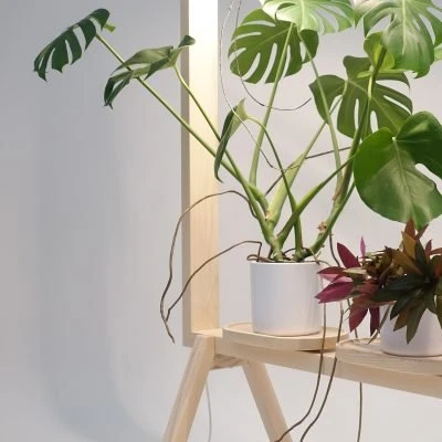 greenframe-5