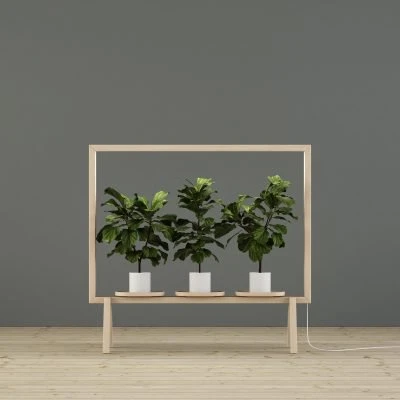 greenframe-9