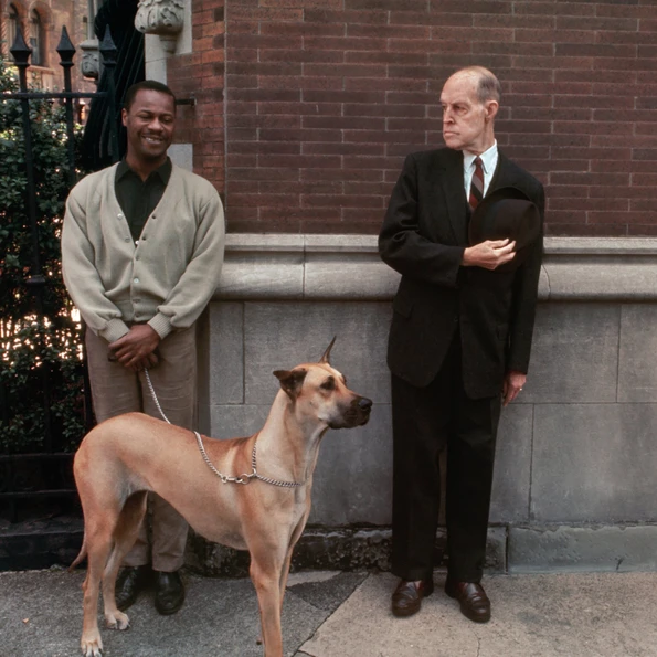 Phaidon - Joel Meyerowitz: Taking My Time - Limited Edition